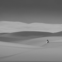 Sand sed 