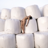 Hay stack