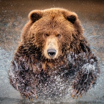 Anger