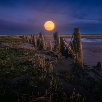 The Moon