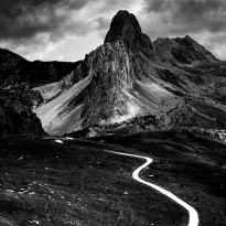The White Path