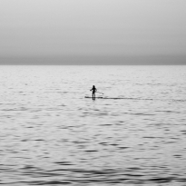 Pilgrim