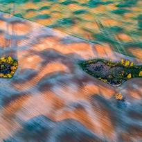 Fields 