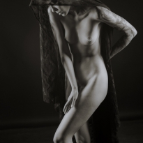 The Veil