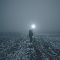 The light 
