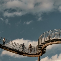 Tiger&Turtle