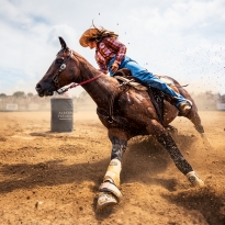Rodeo