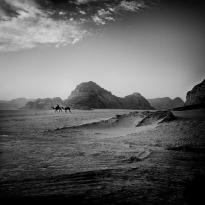 The Last Knight