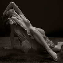 Driftwood Nude I