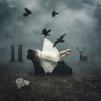 Dream State