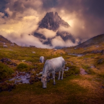 Pic du Midi d'Ossau