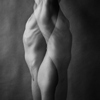 ambivalent shapes