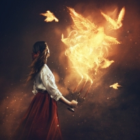 A Spark In The Dark
