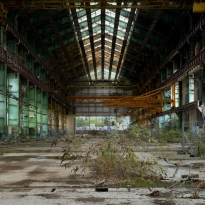 Wasteland