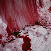 bleeding soul
