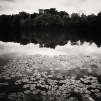 Lakeview