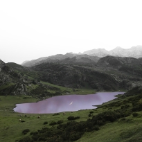 Wonder Land