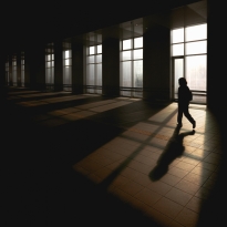 Shadow Play