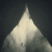 Ephemeral