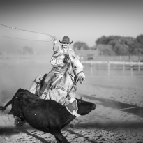 High Stakes Ropin'