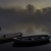 Dawn