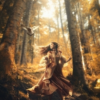 Voyage of Dreams