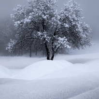 Deep winter