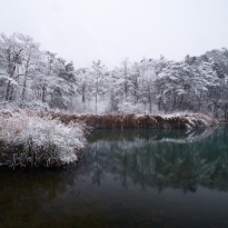 Groundwater Pond