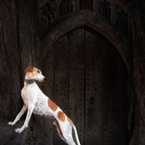 Gatekeeper