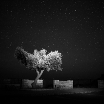 Lightpainting