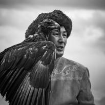 Eagle's Eye