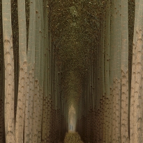Cathedral Trees