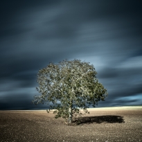 Winds