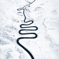 Road snake