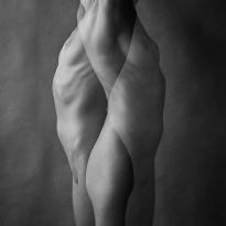 ambivalent shapes