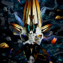 Return of the King