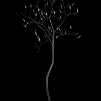 Botanic Beings