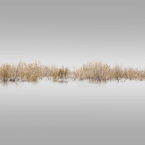 Sea Of Galilee