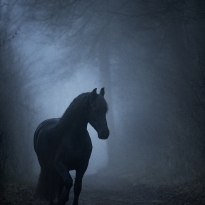 Awakening