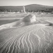 Art of snow