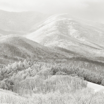 Delicate Mountain
