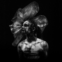 THE GRAVE FLOWERS