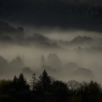 Matin de brumes