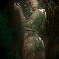 Wood Nymphs