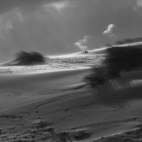 (untitled)