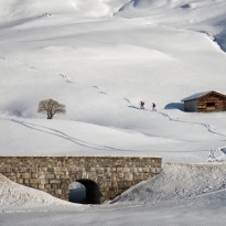 winter landscape