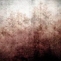 The forest