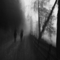 In the woods