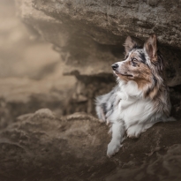 Captivating Cave
