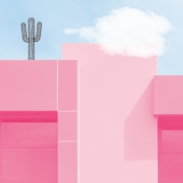 In the Pink